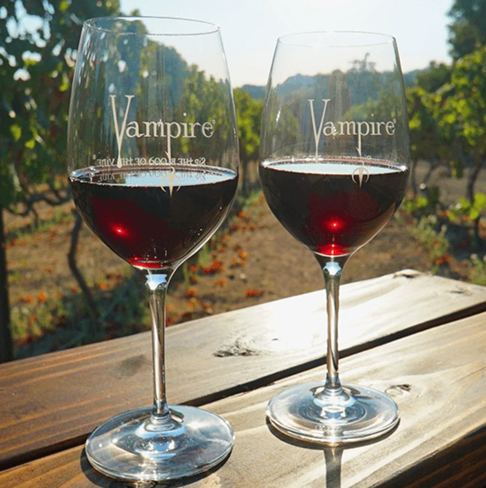 VAMPIRE® CABERNET SAUVIGNON WITH COFFIN & CAPE - Image 7