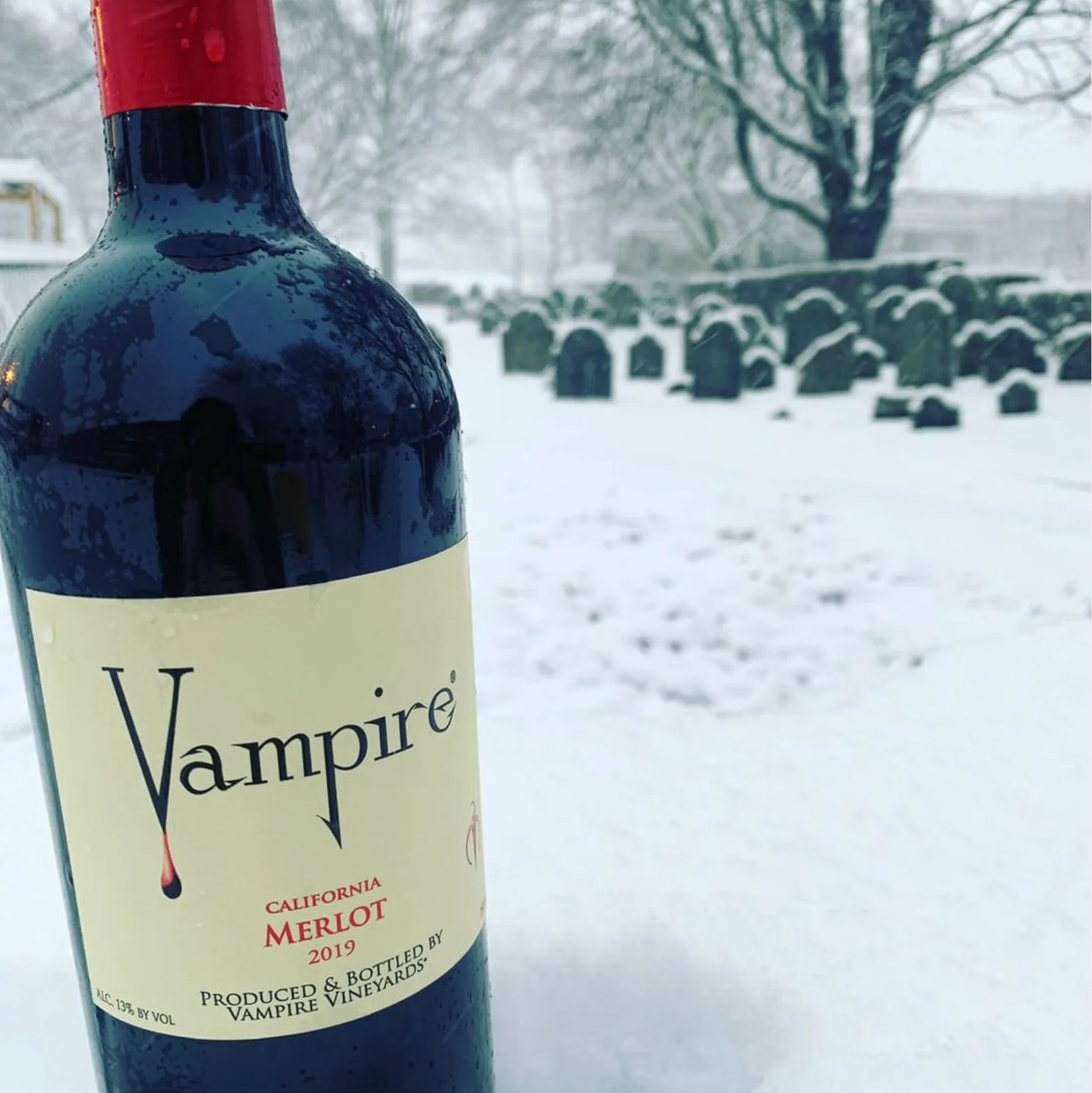 VAMPIRE® CHILLS & THRILLS WINE CLUB - Image 4